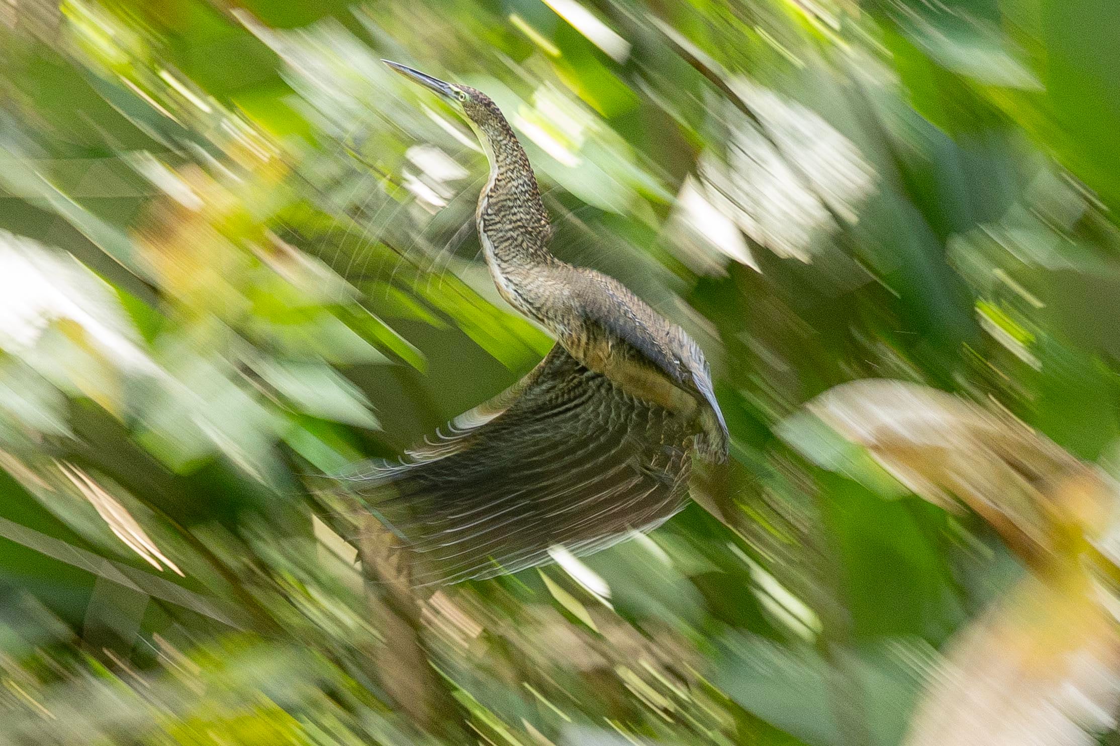 Pueblo Nuevo ( La Mona )