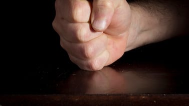 Tribunal de España aplica ley contra la violencia de género en un caso de maltrato animal