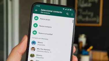 Cómo borrar un contacto de WhatsApp sin dejar rastro en el celular
