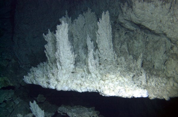 Una cornisa o saliente de aproximadamente 1,5 metros de ancho, ubicada en un costado de una chimenea del campo Lost City, investigado por el conocimiento que puede brindar sobre el origen de la vida en la Tierra.