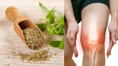 Cómo el orégano puede aliviar el dolor articular y prevenir la artrosis