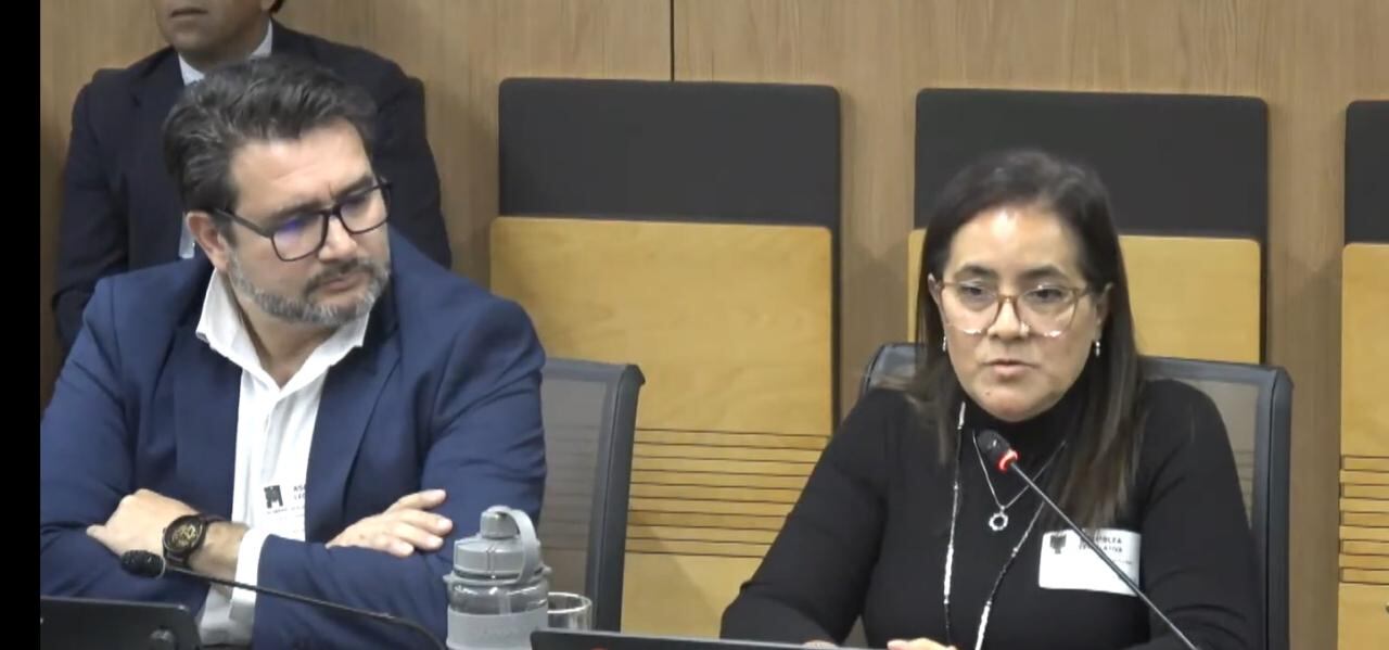 Un hombre joven, de barba y anteojos, camisa blanca, saco azul, sentado al lado izquierdo de la foto, al lado de una mujer de blusa negra, cabello lacio largo, con anteojos.