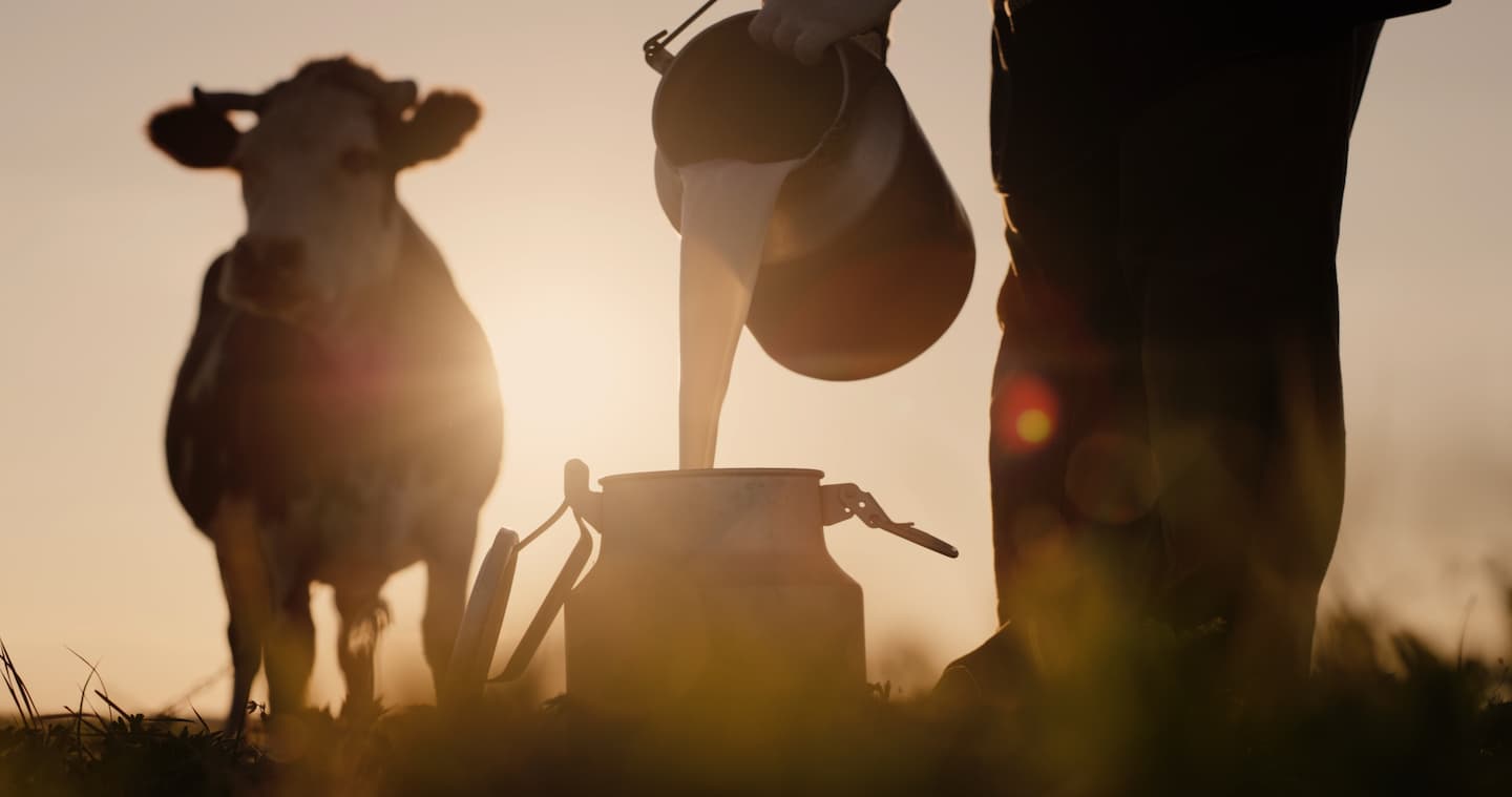 Ordeño de vacas