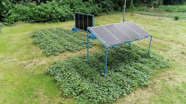 TEC desarrolla el primer sistema agrivoltaico de Costa Rica para producir alimentos y energía