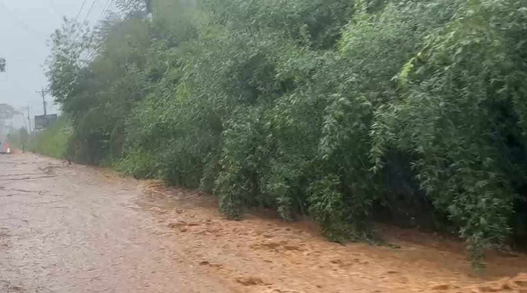 Las fuertes lluvias provocaron inundaciones y el desbordamiento de quebradas en varios sectores de San Carlos durante la tarde de este viernes.