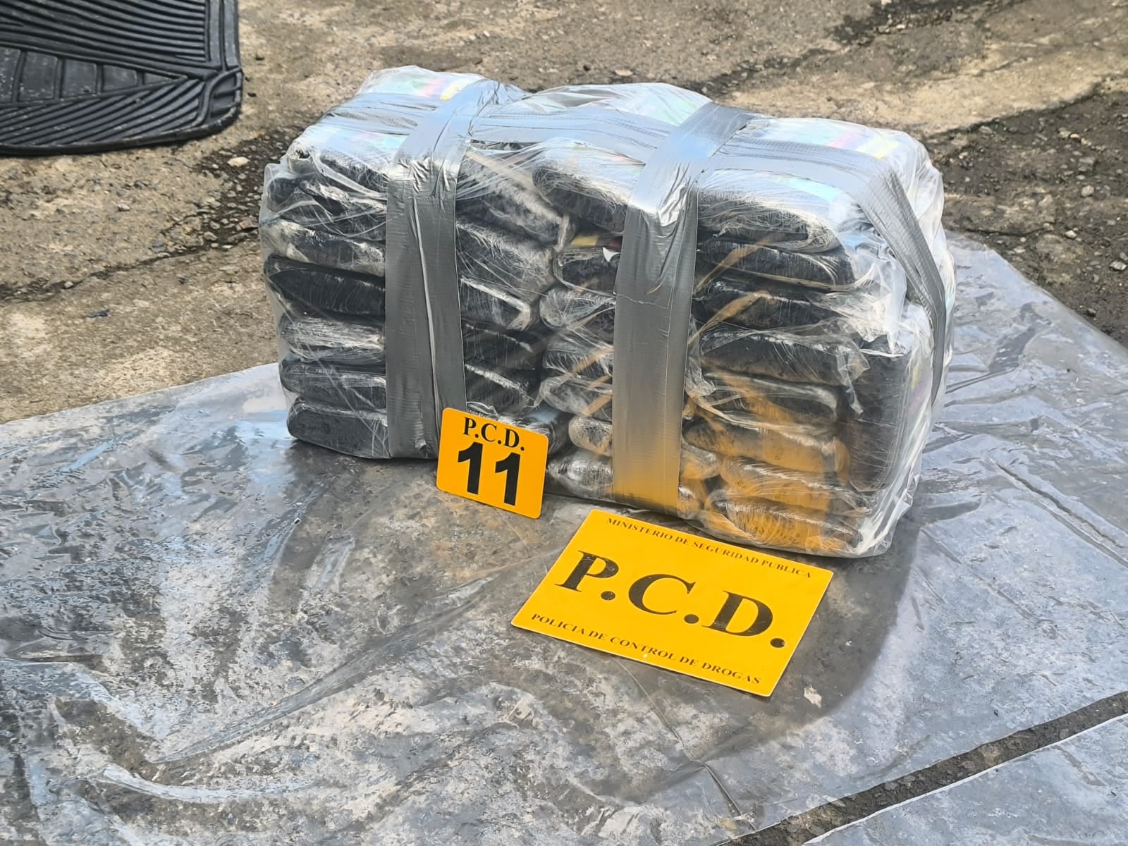 PCD decomisó gran cantidad de presunta droga durante los allanamientos.