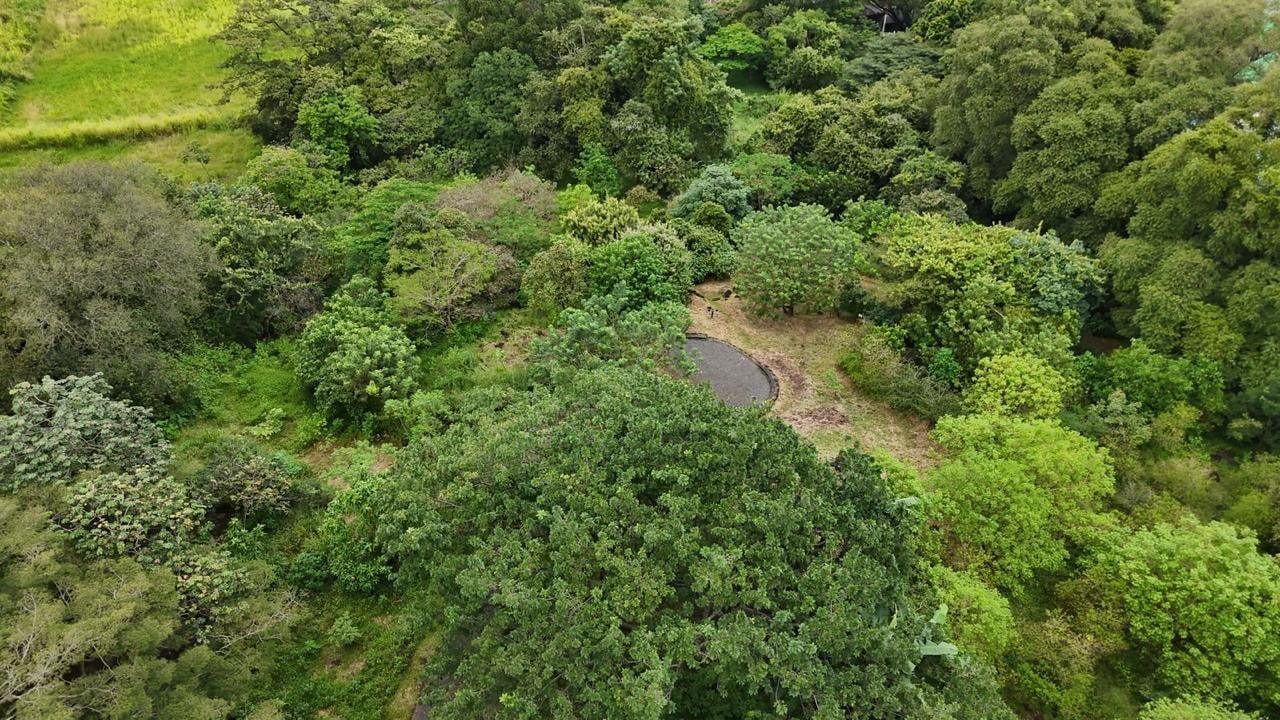Una toma aérea de un parque.