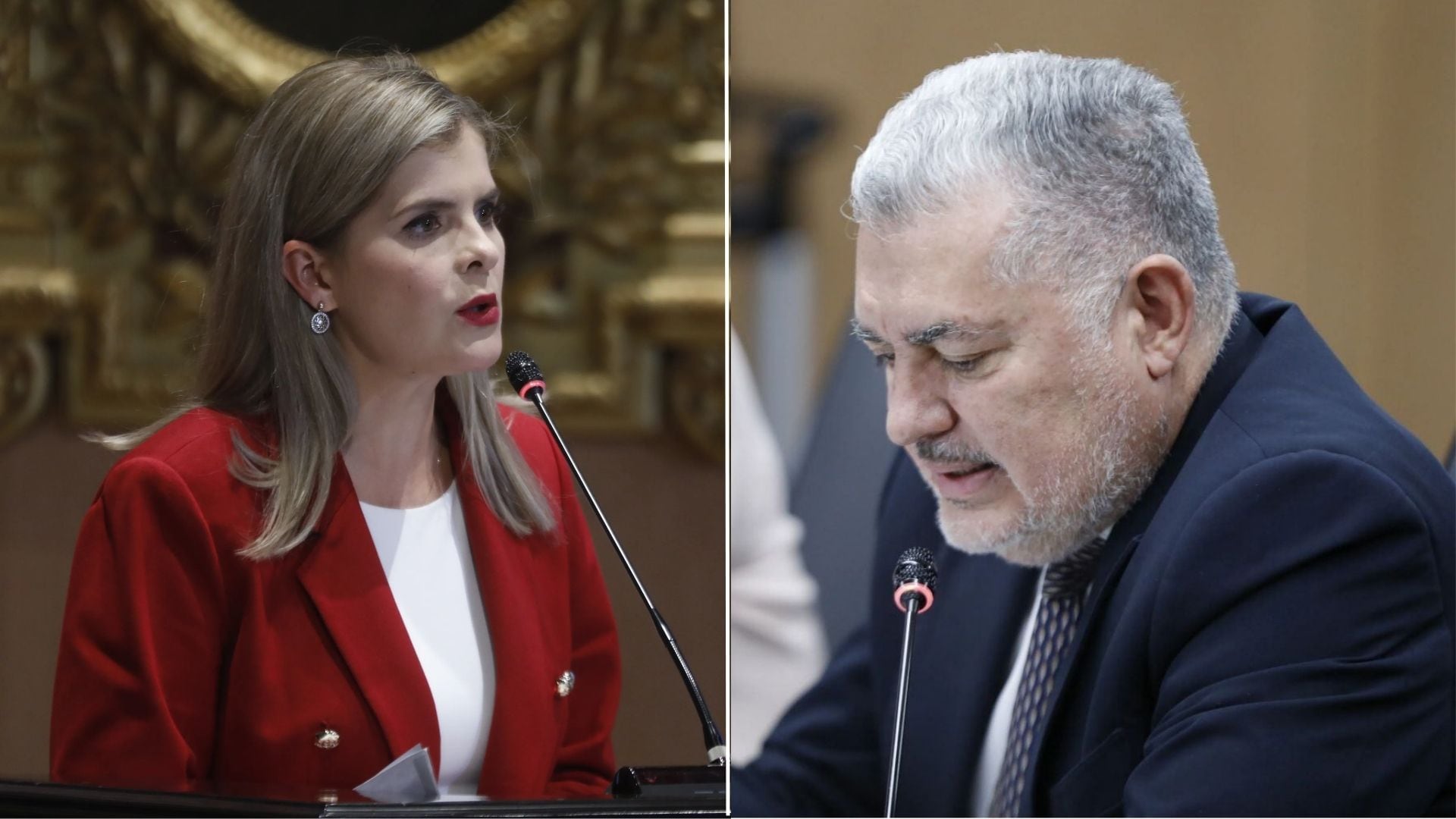Laura Fernández se opone a que los diputados puedan ejercer liberalmente la profesión, como el caso del oficialista José Miguel Villalobos.