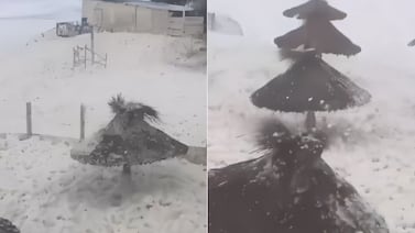 Las impresionantes imágenes de la espuma que invadió las playas de Argentina tras el temporal