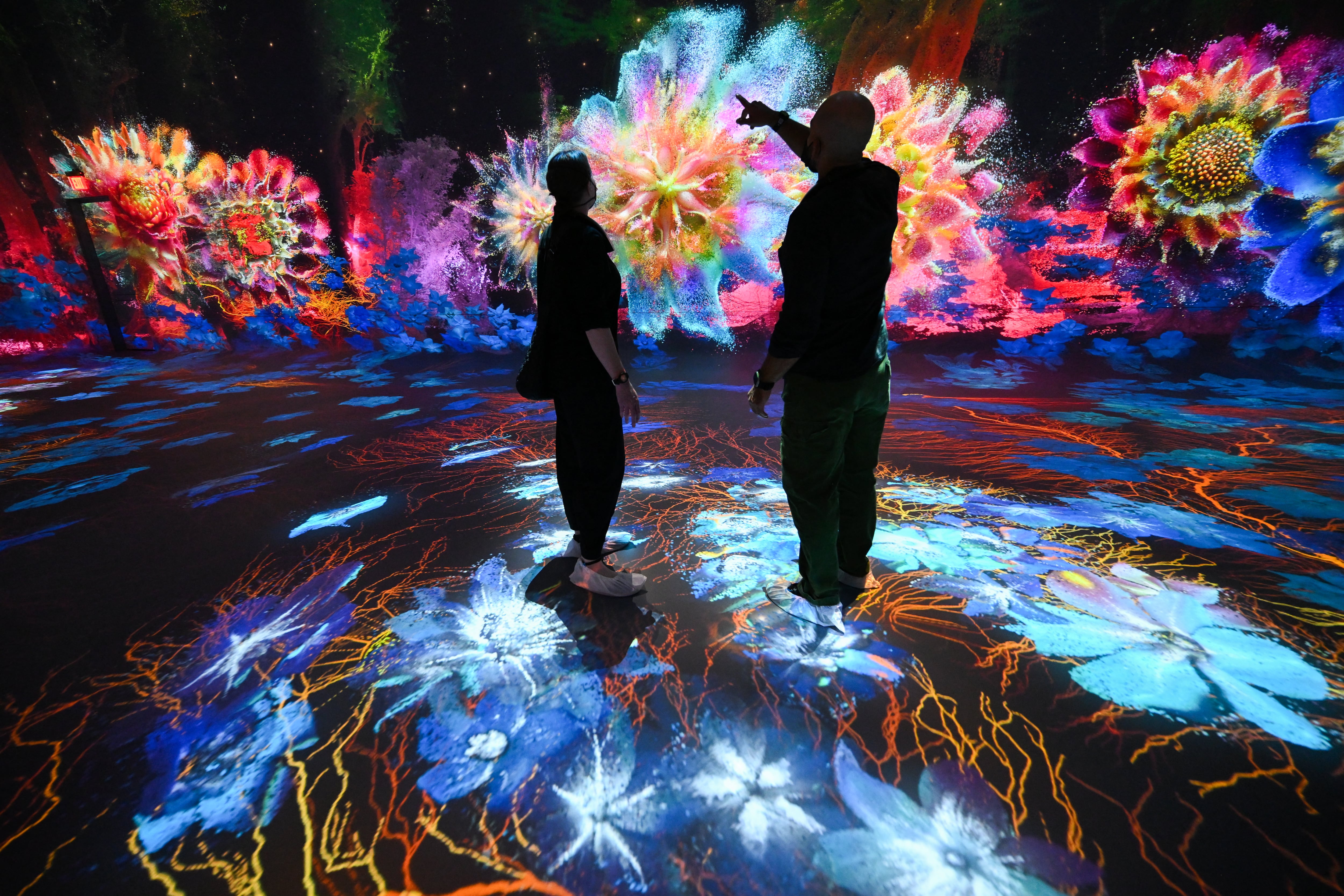 Attendees walk through immersive visualizations from the inaugural exhibition Machine Dreams: Rainforest are projected at DATALAND, the Museum of AI Arts, in Los Angeles, California on June 9, 2026. The squawks of macaws, the smell of wet earth after rain, and the swirl of colours will transport visitors to a Los Angeles museum to the heart of the Amazon rainforest -- or rather, an AI version of it. Data collected from those visitors � their movements, their heartbeats, and even the temperature of their skin -- will feed the computer that is creating the immersive display, using a network of sensors, including those on the wrists of ticket-holders. (Photo by Patrick T. Fallon / AFP)
