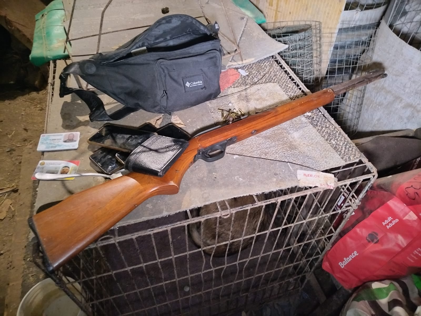 También se decomisaron dos armas de fuego, entre ellas este rifle.