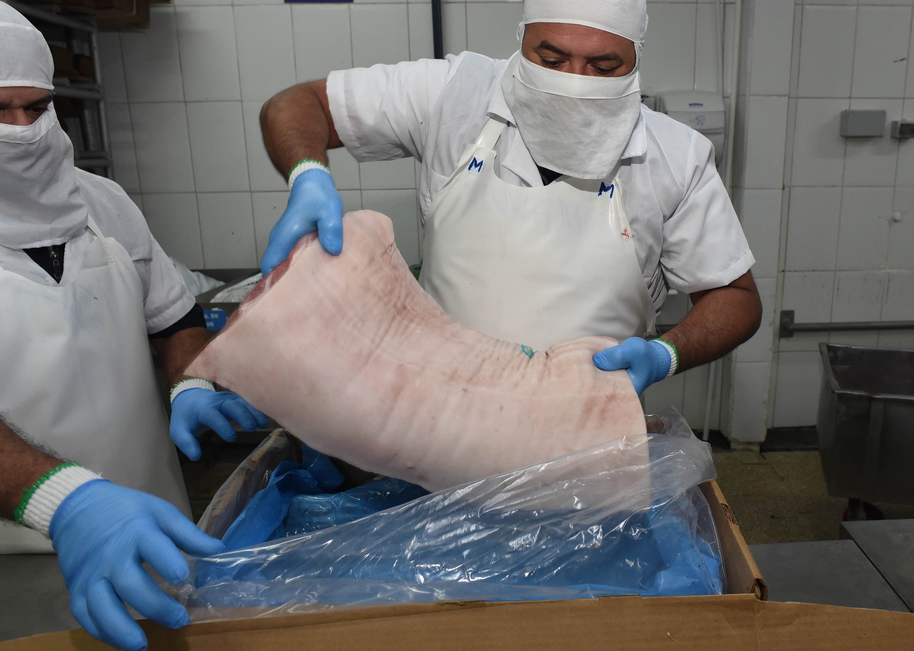13/02/2020 Planta industrial de Carnes Zamora, en Barreal de Heredia.
Proceso para separación de los cortes de carne de cerdo.
Carnes Zamora es la primera empresa de Centroamérica en exportar cerdo a China.
Fotos: Carlos González.