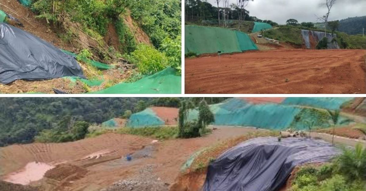 Financista de Chaves destrucción de bosque primario Portalón de Savegre, Quepos