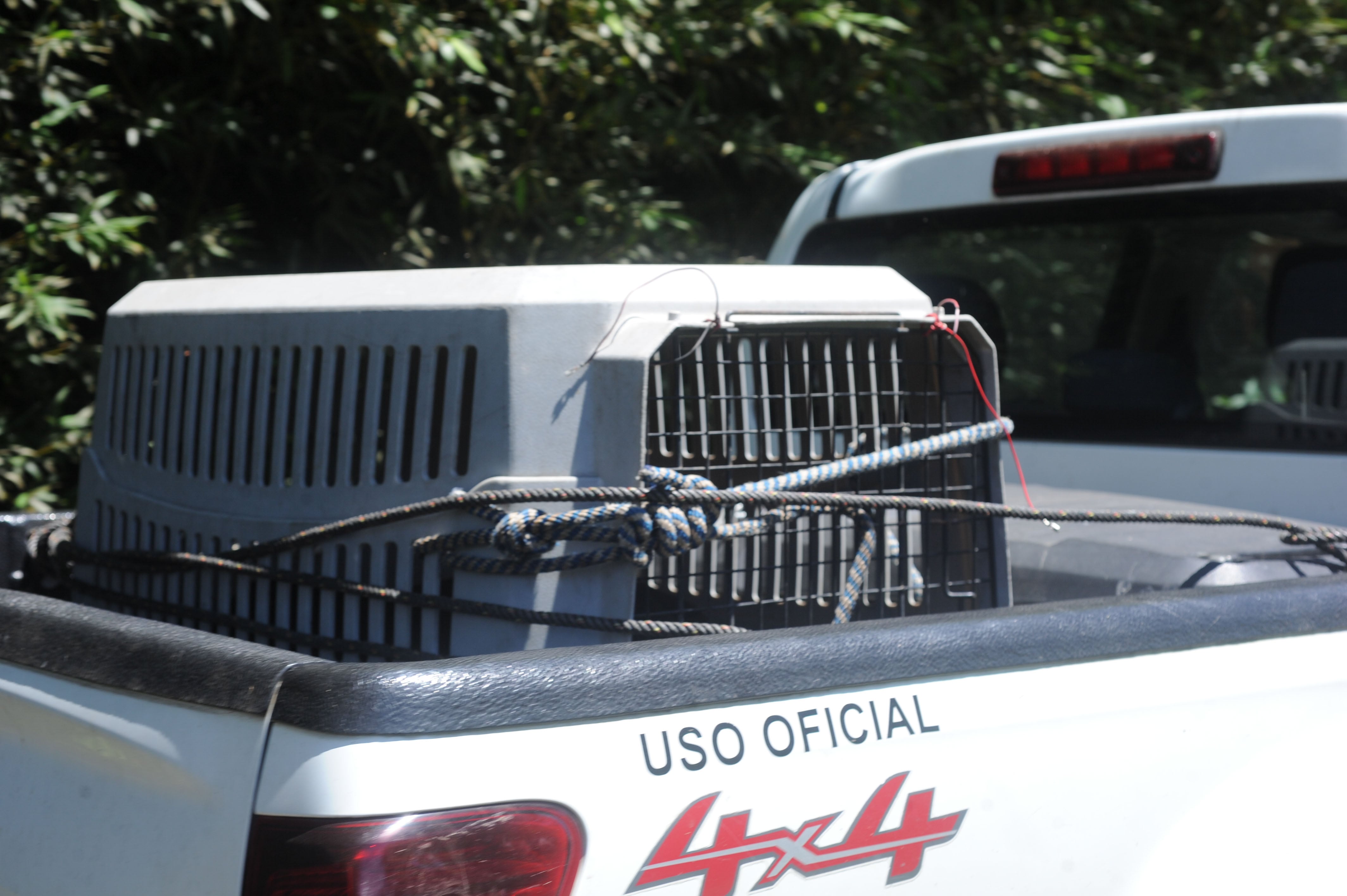 17/04/2026 San Geronimo de Moravia calle el tornillal, ataque de un perro que ocasiona la muerte de un Fernando Fernández. Fotografía: Marvin Caravaca.