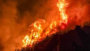 Incendio en la Patagonia fue provocado: Ofrecen recompensa millonaria por responsables