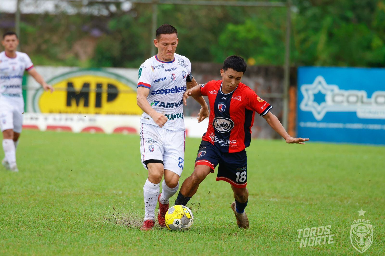 Cariari Pococí vs. San Carlos
Torneo de Copa 2025
Wílmer Azofeifa (SC)
Jared Guido
Cariari eliminó a San Carlos
30 de agosto del 2025
Cortesía San Carlos