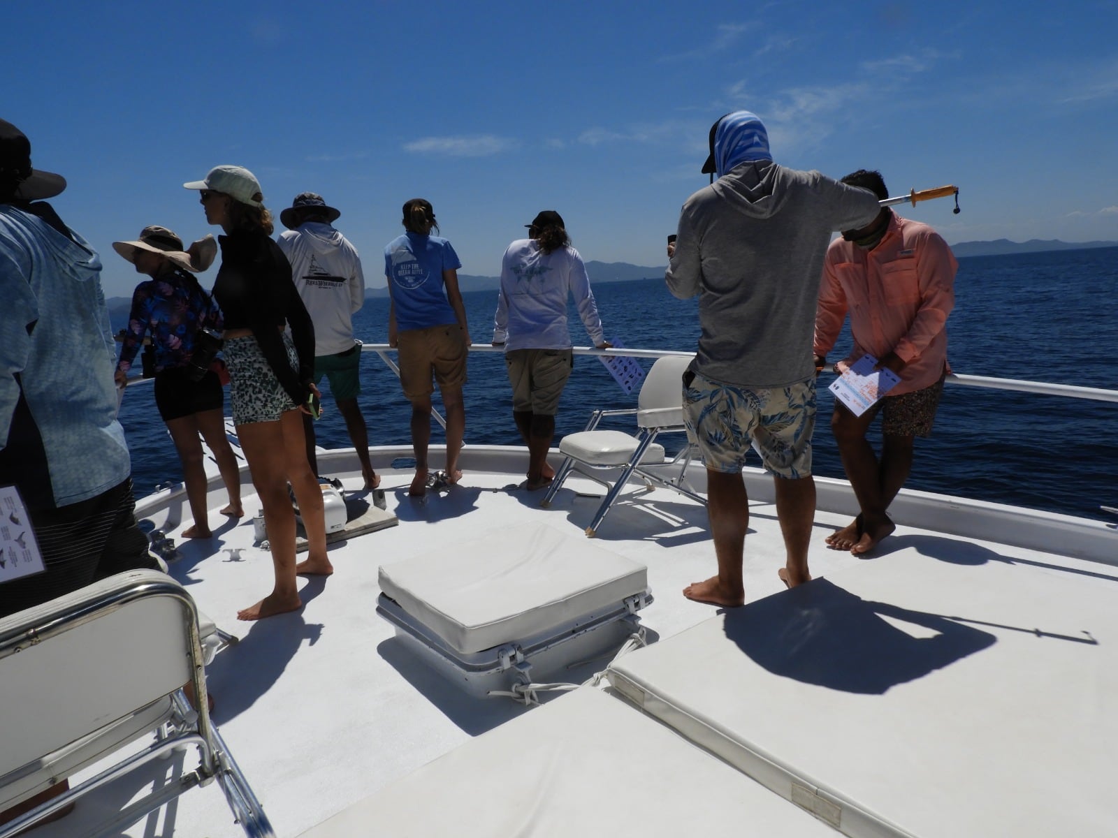 El Festival de Ballenas y Delfines se celebrará del 28 al 30 de agosto en Guanacaste.