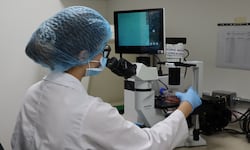 La carrera más solicitada del TEC, en su sede central, tiene dos imanes: éxito internacional y alta inserción laboral