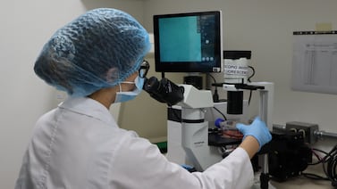 La carrera más cotizada del TEC en Cartago tiene egresados trabajando en 24 países