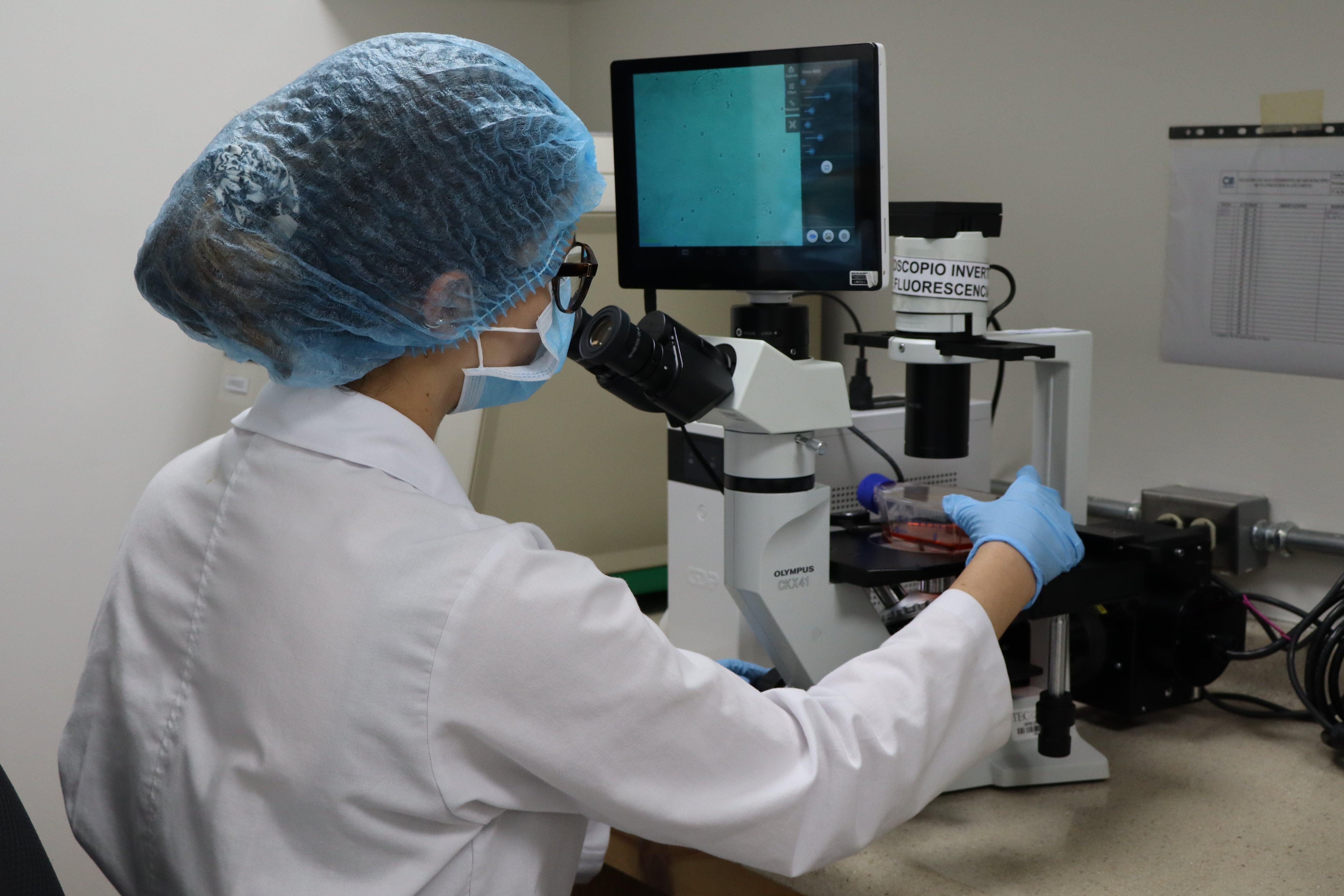 Los egresados de la carrera más cotizada del TEC trabajan y estudian en 24 países de cuatro continentes.