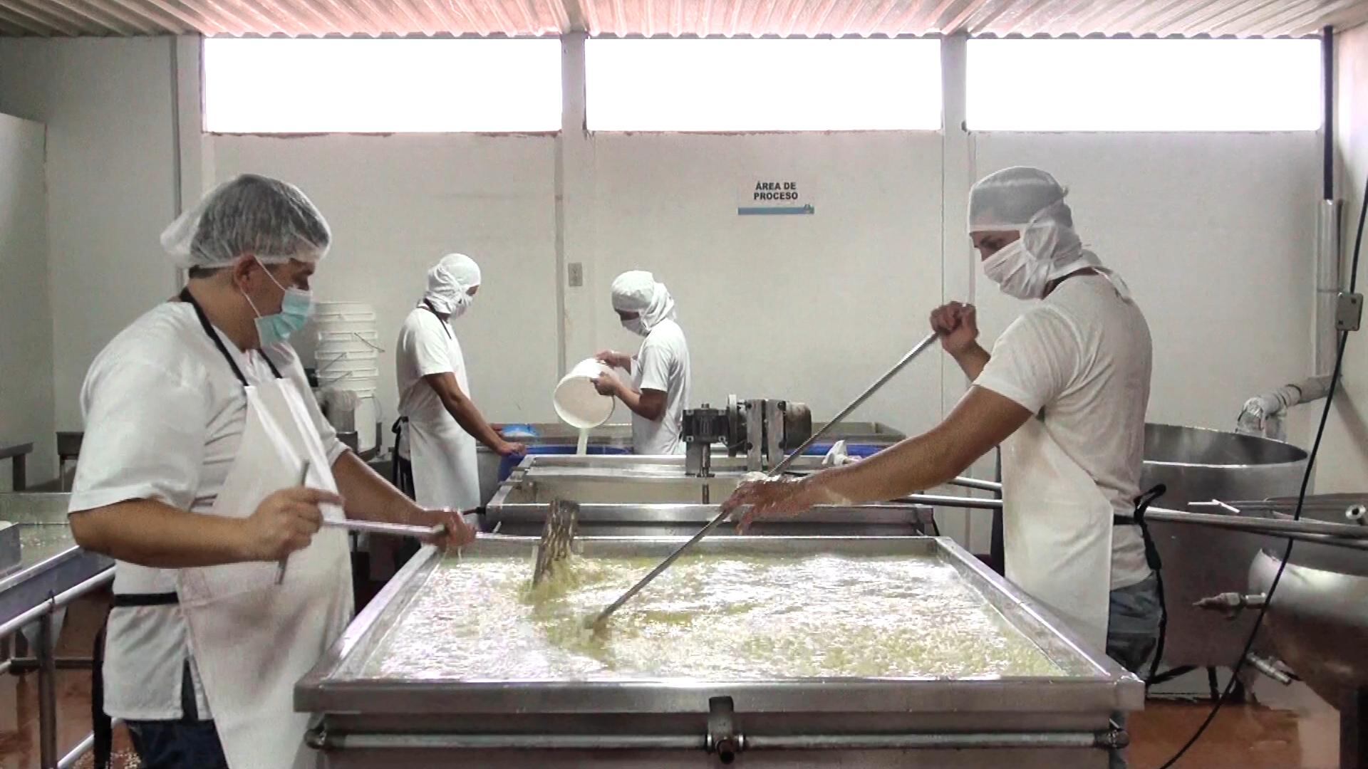 La empresa Productos Lácteos El Torito fue una de las dos primeras plantas que recibe el certificado de denominación de origen Queso Turrialba. En la imagen, trabajadores de la compañía en el proceso de elaboración de lácteo. Foto: Asoproa.