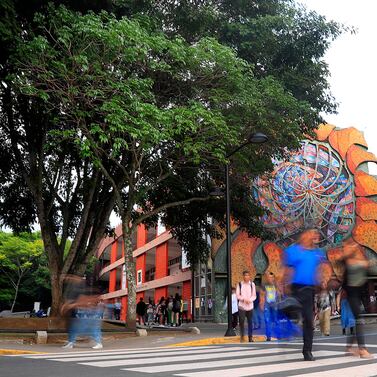 Aunque es muy probable tener empleo rápido en esta carrera, casi nadie quiso estudiarla este 2025