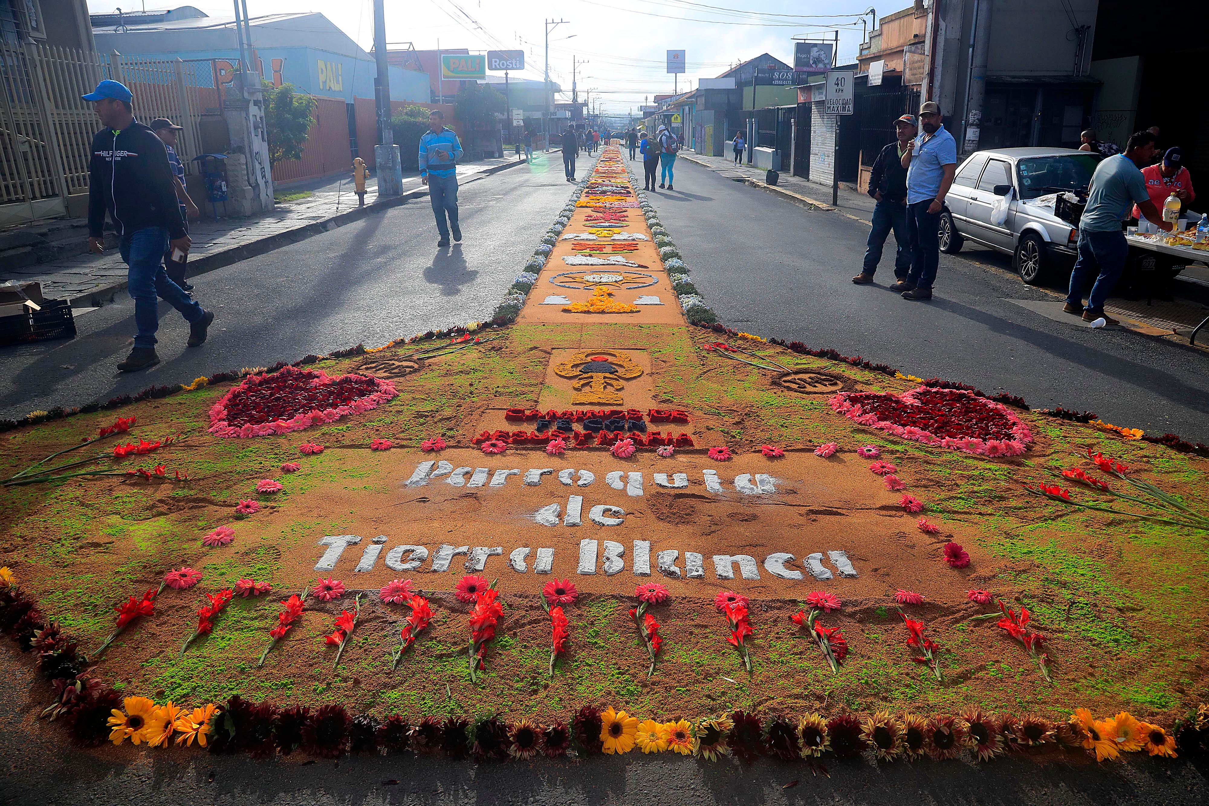 03/09/2023 Cartago. Desde la media noche, decenas de personas de diferentes comunidades de la provincia empezaron a elaborar las coloridas y espectaculares alfombras para formar una sola de poco más de kilómetro y medio, por donde transitó la imagen de la Virgen de los Angeles en su retorno a la Basílica. Aserrín y broza del café coloreados, cal y flores, especialmente rosas, entre otros, dieron forma al manto multicolor para dirigir los pasos de quienes acompañaron a La Negrita en la tradicional Pasada de regreso al Santuario Nacional tras permanecer un mes exacto en la Catedral de Nuestra Señora del Carmen.