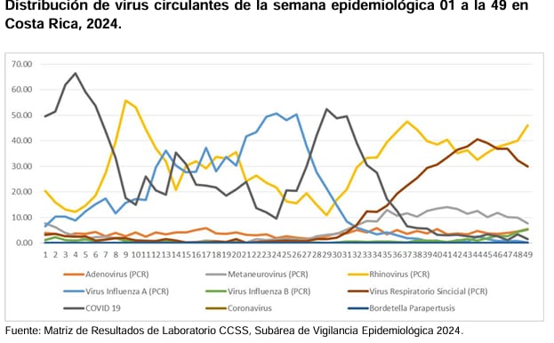 Un gráfico en el que se aprecian los diferentes tipos de virus que circularon en Costa Rica durante 2024. El metapneumovirus humano finalizó en tercer lugar.
