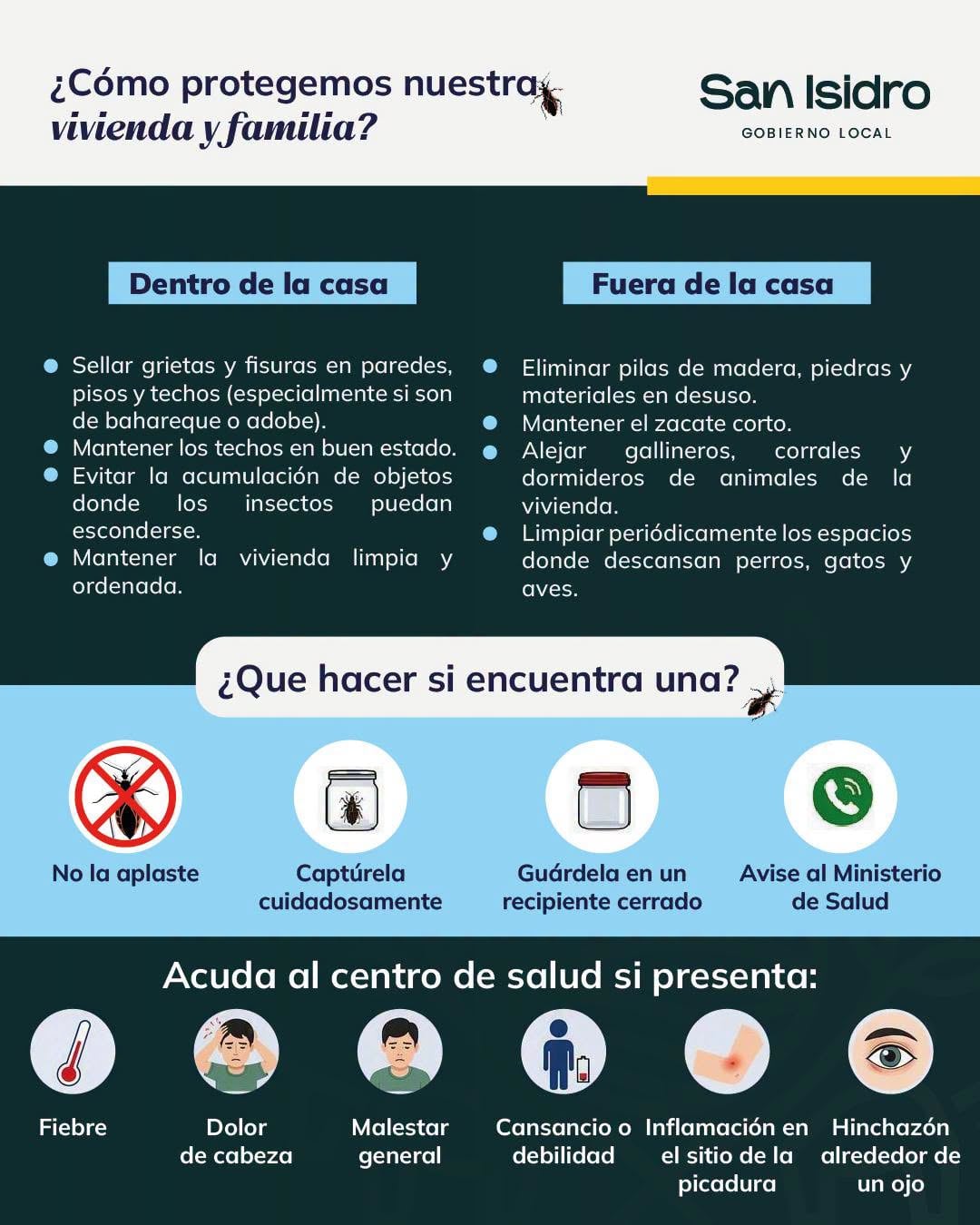 Municipalidad de San Isidro de Heredia alertó sobre la reciente detección de la «chinche picuda» (triatomino) en el cantón. Este insecto es transmisor de la Enfermedad de Chagas.