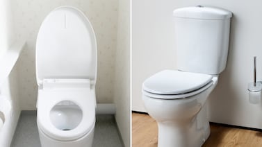 ¿Tirar de la cadena con la tapa abierta o cerrada? Descubra por qué eso marca diferencia