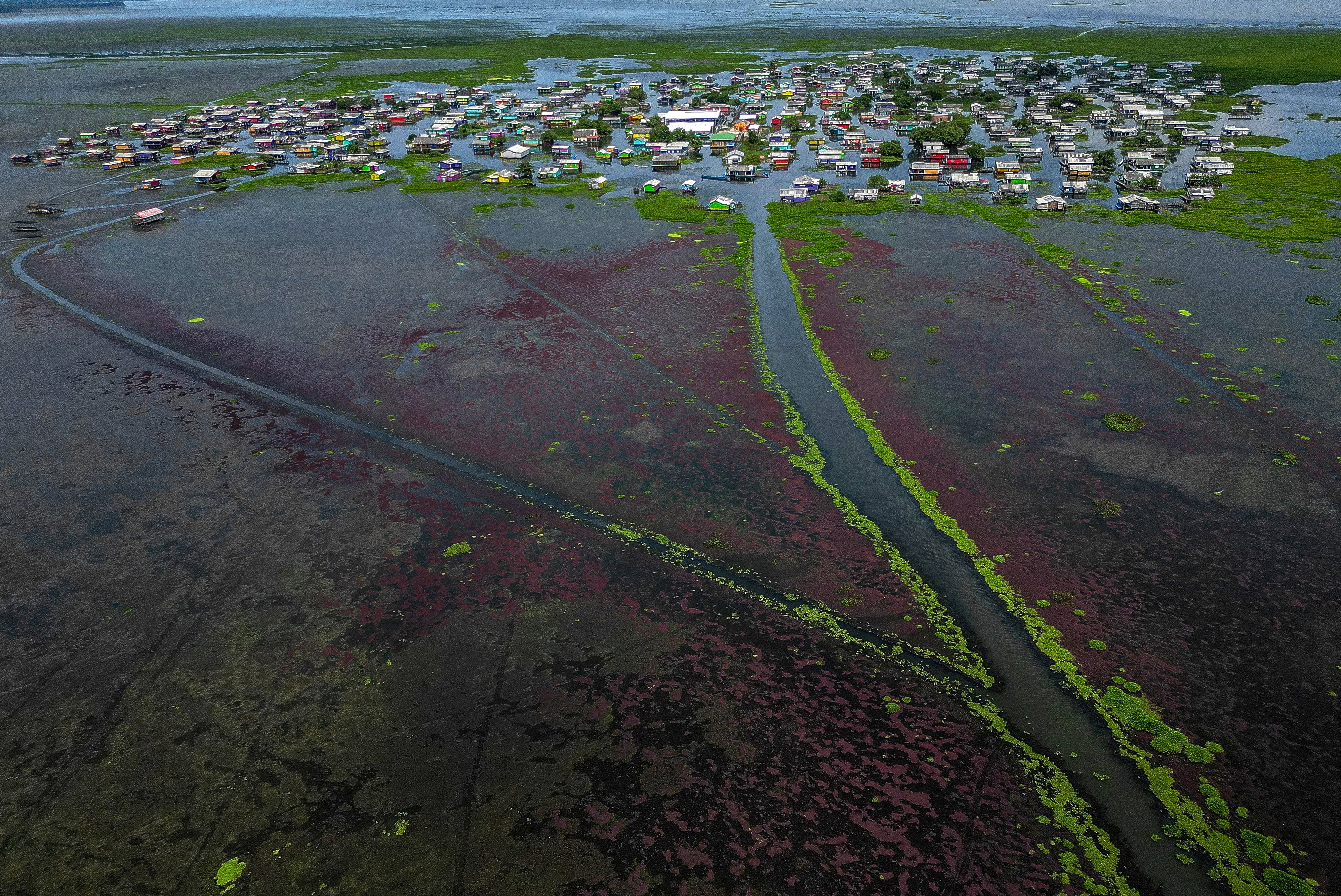 Casas sobre pilotes y canoas atrapadas en la vegetación muestran la amenaza ambiental que pone en riesgo la economía local.