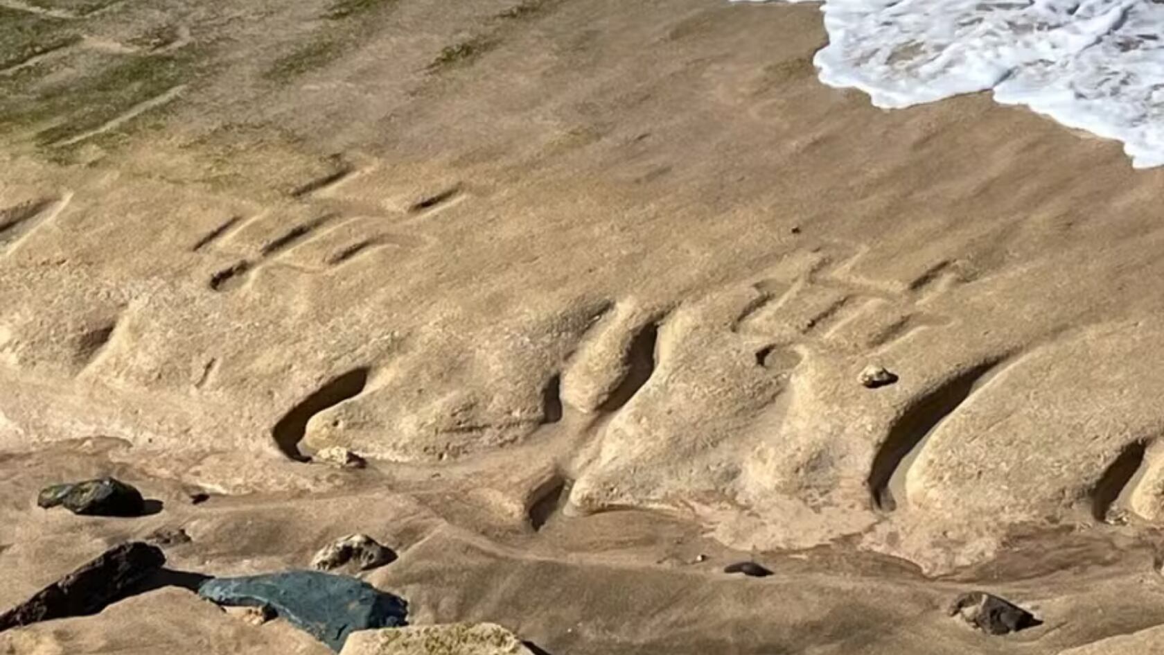 26 grabados antiguos emergieron en playa de Hawái tras bajamar, revelando figuras humanas y símbolos de hasta 600 años de antigüedad.