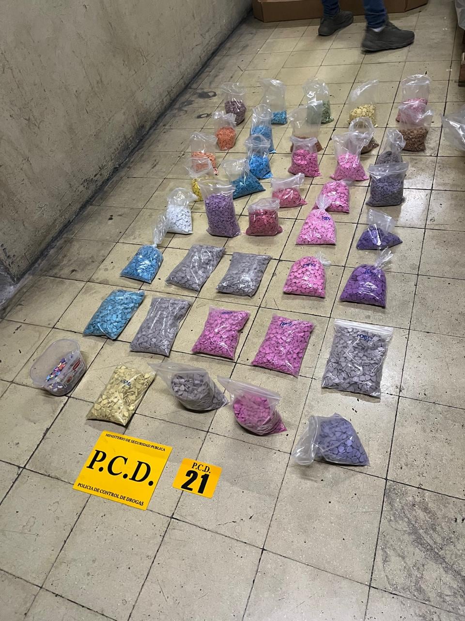 20.000 dosis de fentanilo decomisado por la PCD en Tierra Dominicana, San José, el 4 de febrero.