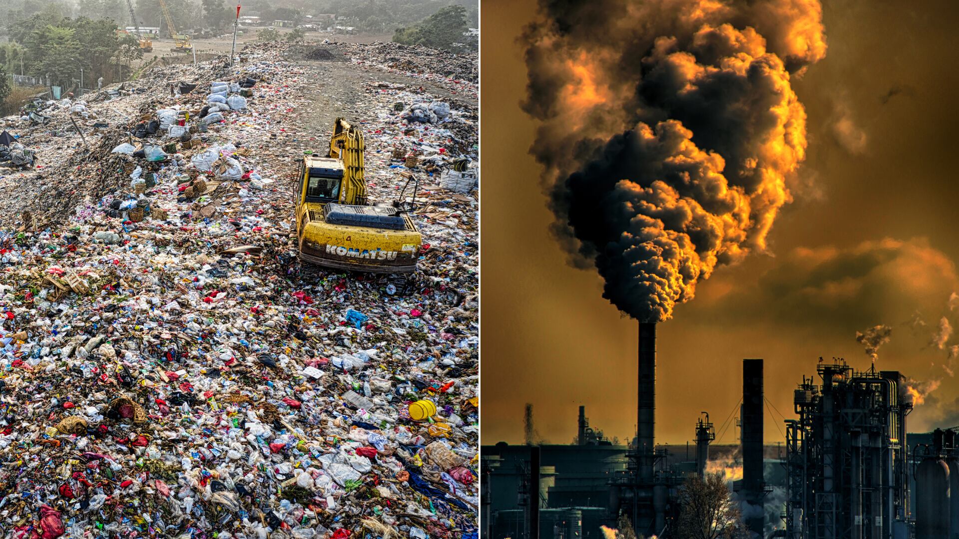 Carlos Jaramillo enfatiza que la urgencia es la supervivencia humana, no salvar el planeta, en el XX Congreso Internacional de Botánica.