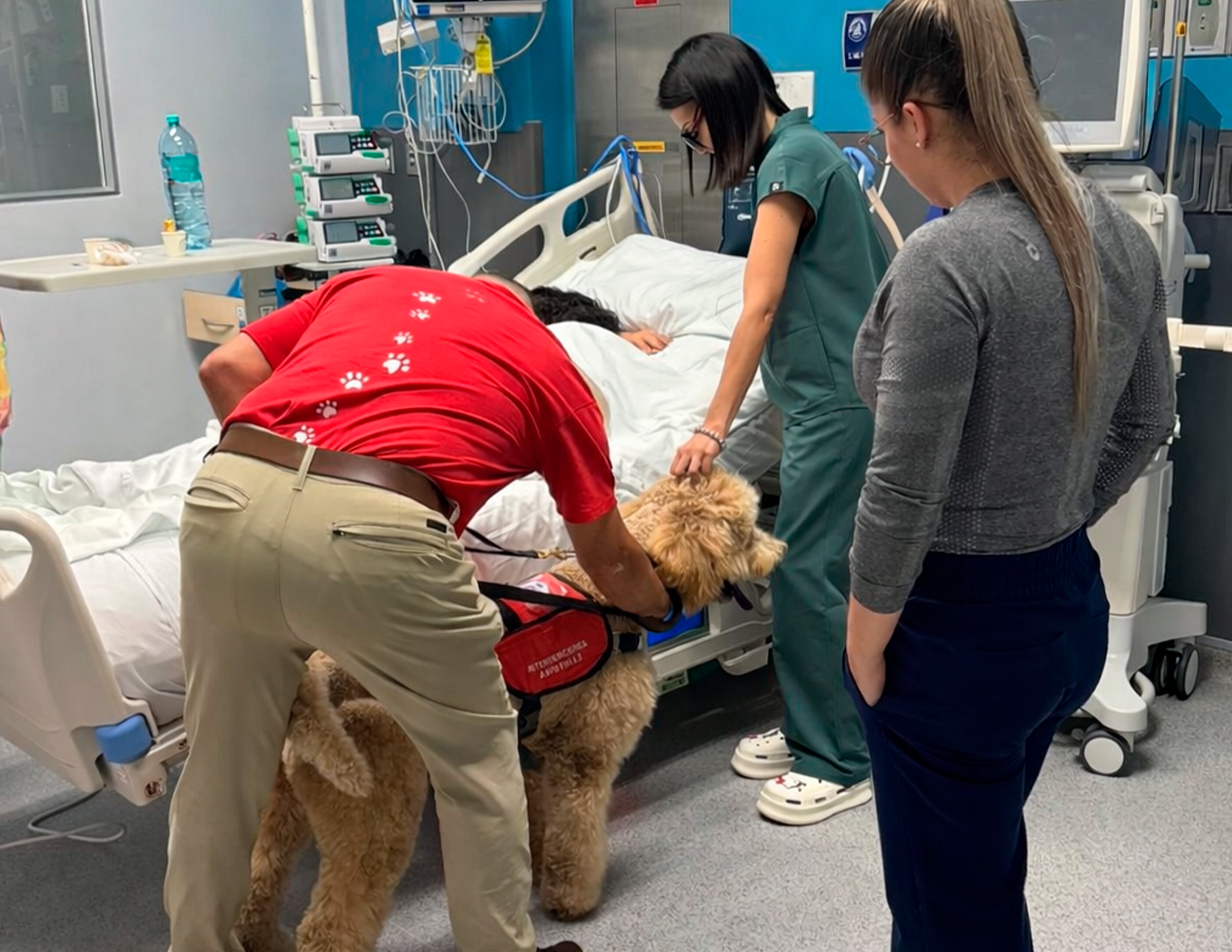 El centro médico de Puntarenas activó un proyecto en cuidados intensivos para humanizar la atención con apoyo emocional y visitas terapéuticas.
