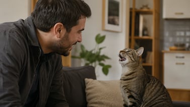 ¿Los gatos le maúllan más a los hombres? Un estudio dice que sí; esta es la razón