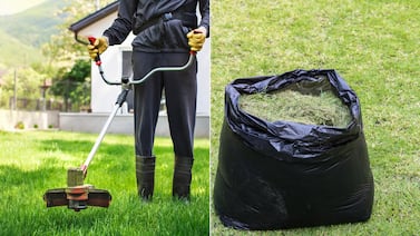 No meta el césped cortado en bolsas de basura: este es el error que muchos cometen