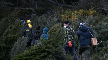 Biólogos buscan hantavirus en ratones de Argentina tras muertes en crucero