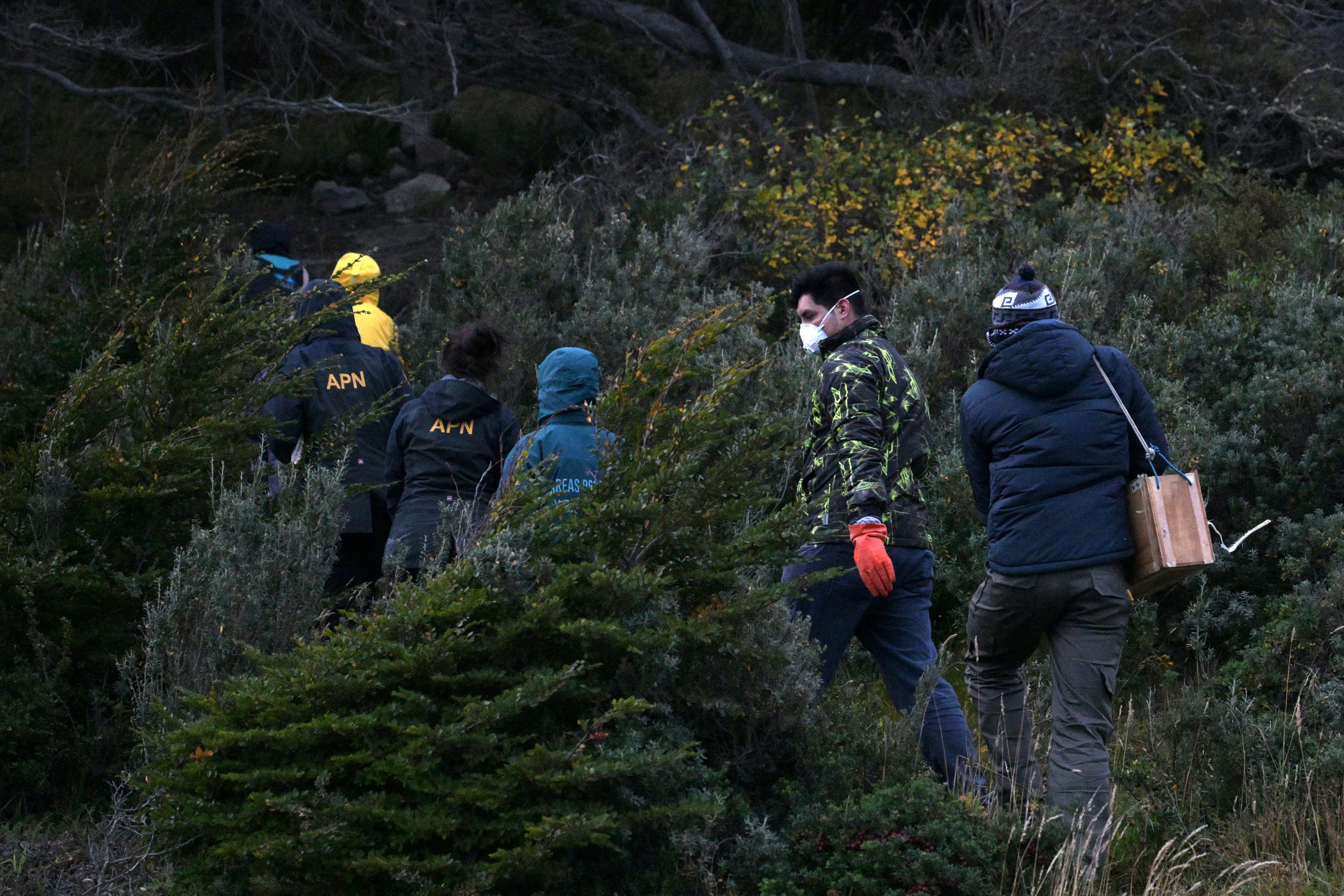 Scientist of the Malbran institute, members of Health Minister of Argentine province of Tierra del Fuego and members of National Park Administration walk in the forest to place traps for rodents near Ushuaia, Argentina on May 18, 2026. A team of biologists began setting mouse traps on May 18, 2026, on the outskirts of Ushuaia as part of a sampling effort to rule out the presence of hantavirus in that southern Argentine city, AFP observed. (Photo by JUAN MABROMATA / AFP)