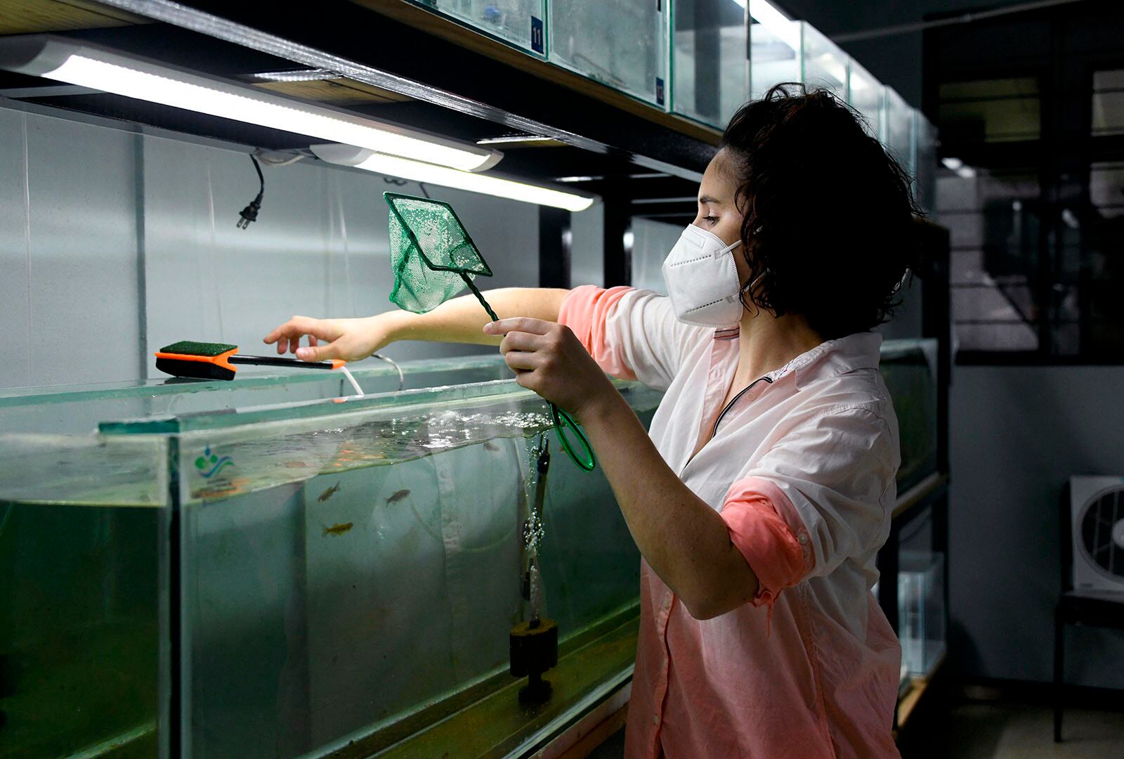 Una mujer frente a una pecera en un laboratorio científico. Lleva una red de pesca.