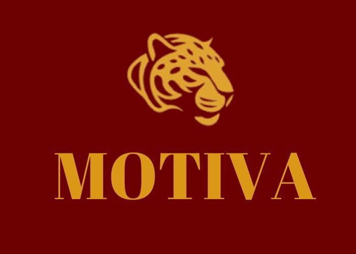 Partido Movimiento Tiempo de Valientes (Motiva)