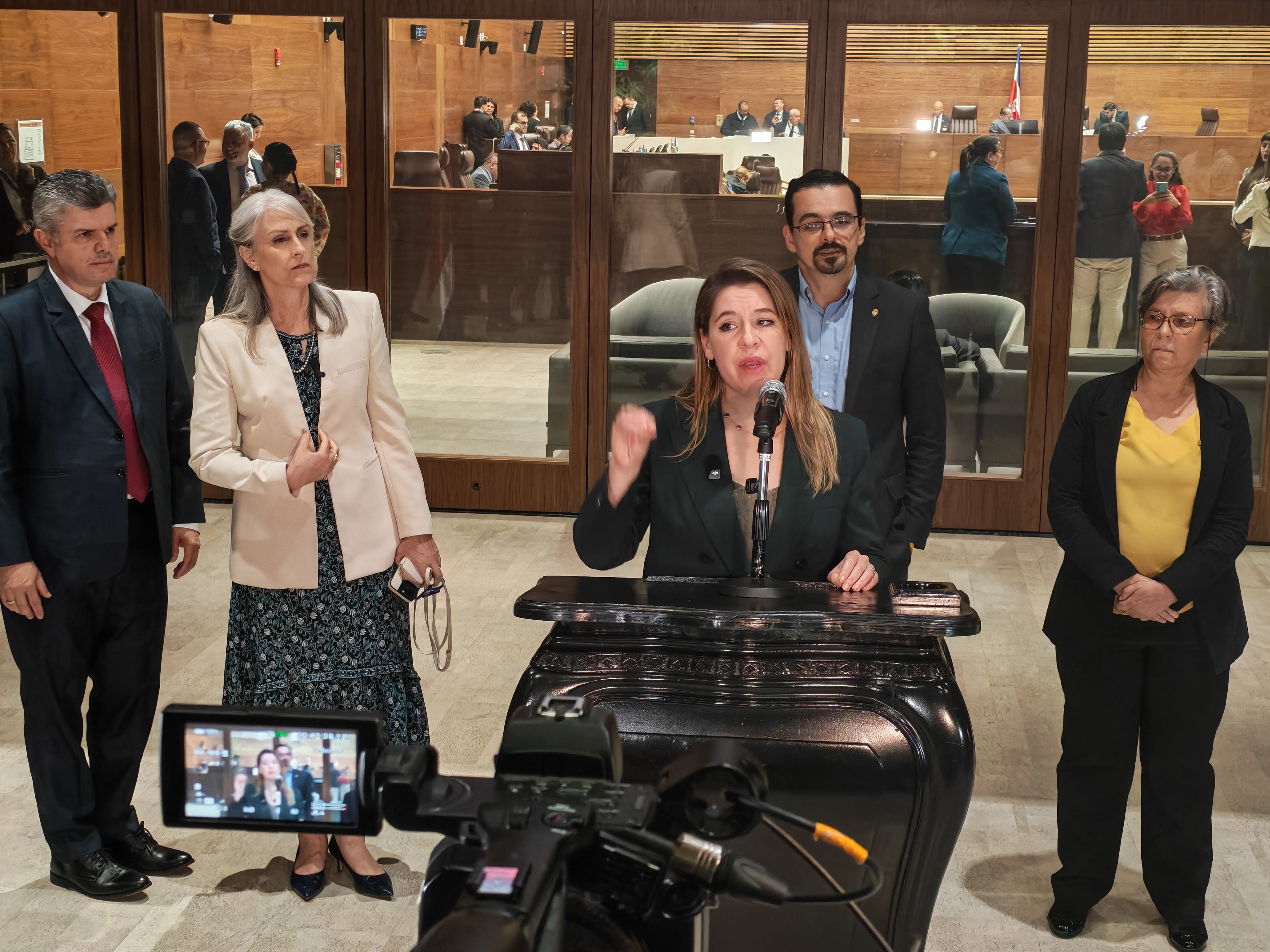 diputados plenario asamblea lobby
