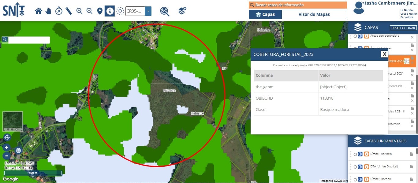 Imagen de la cobertura de bosque dentro de parte de la propiedad donde se construiría el llamado Quantum AI Free Zone Campus en Limón, según el inventario forestal al 2023 consignado en el Sistema Nacional de Información Territorial (SNIT), del Instituto Geográfico Nacional (IGN).