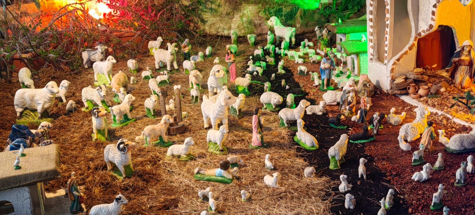 Se ven desperdigadas por el portal, figuras de ovejas de todos los tamaños.