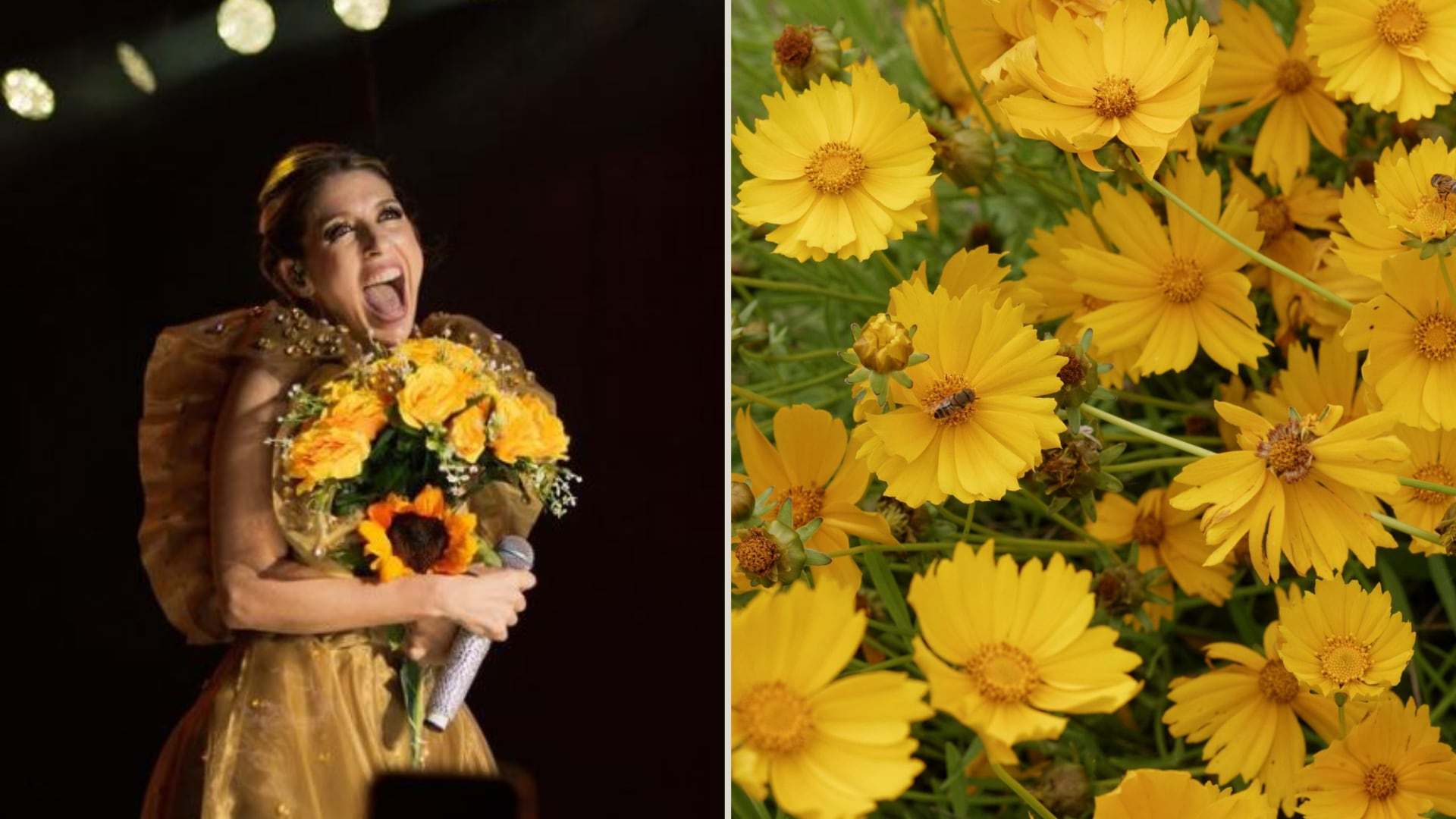 La tendencia de regalar flores amarillas se extendió por Latinoamérica y tiene una relación directa con la telenovela 'Floricienta'.