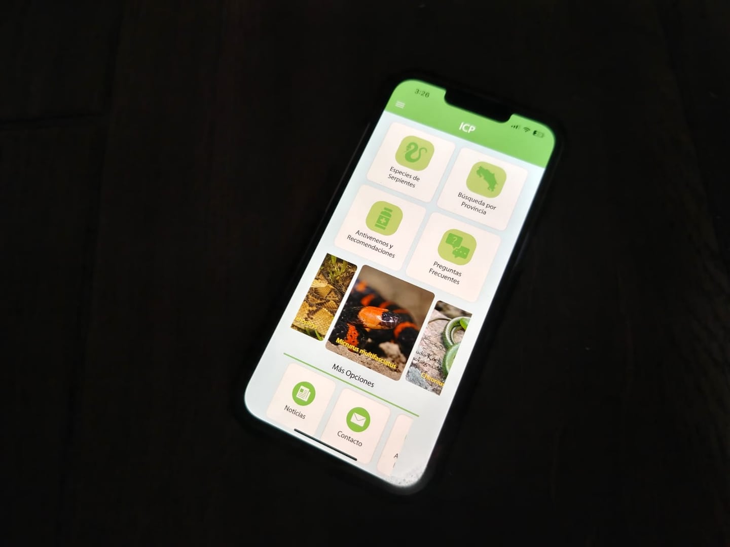 ¿Vio una serpiente? App gratuita de la UCR le dice si es venenosa y cómo actuar