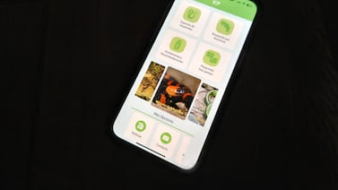¿Vio una serpiente? App gratuita de la UCR le dice si es venenosa y cómo actuar