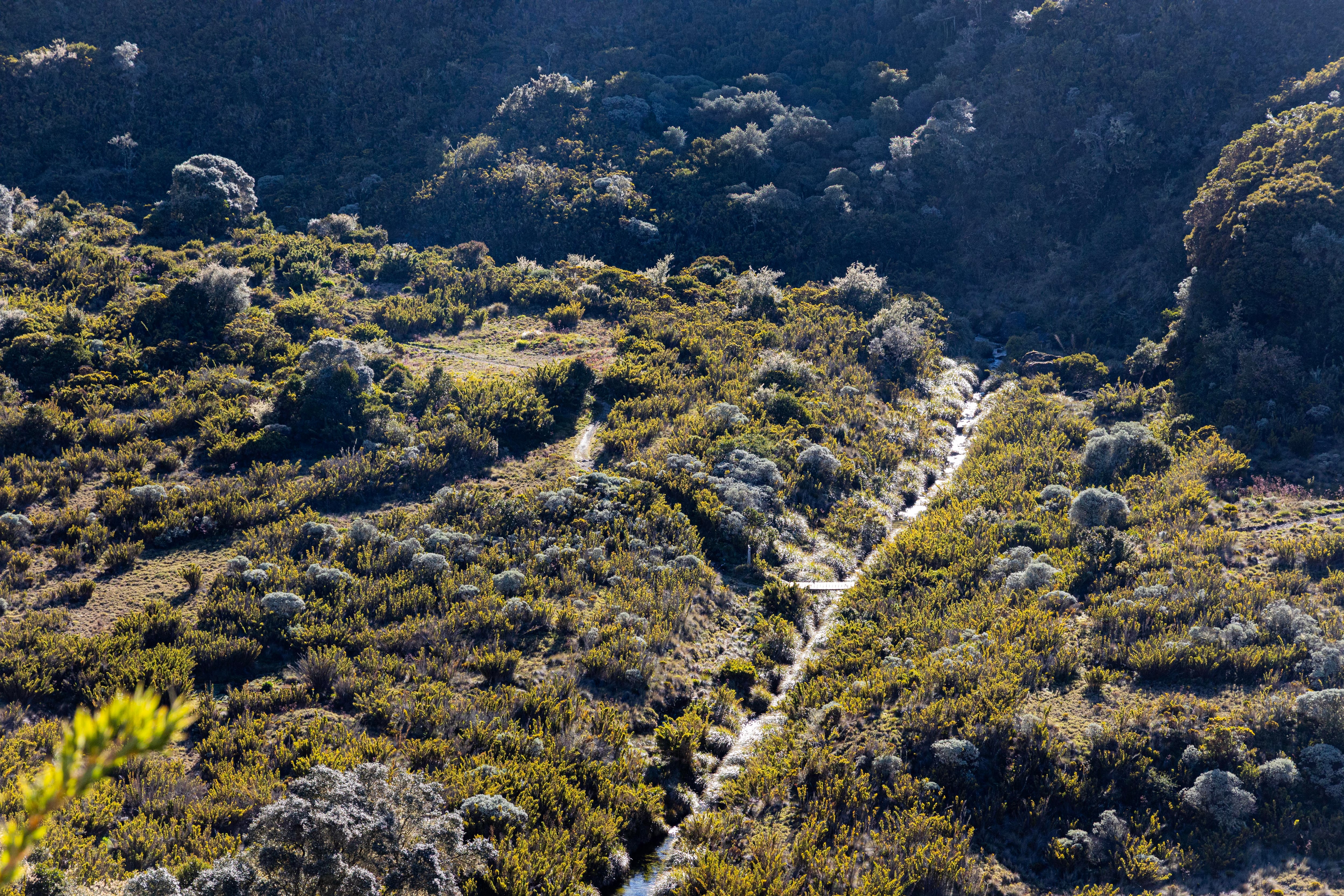 Parque Nacional Chirripo 50 años