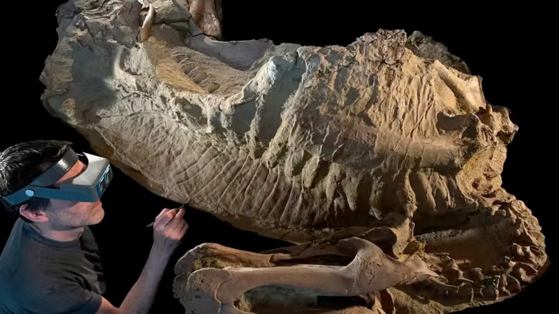 Investigadores reconstruyeron un Edmontosaurus con piel y cascos conservados gracias a la arcilla que lo cubrió tras su muerte en Wyoming.