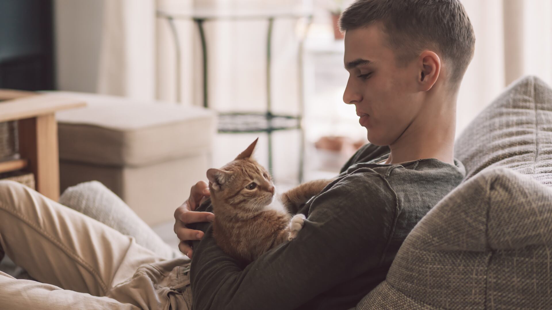 Científicos turcos observaron más maullidos en gatos al saludar a cuidadores hombres que a mujeres
